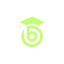 bluenurses.com favicon