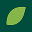Givefront favicon