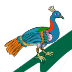 mercurybhutan.com favicon