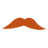 mymatureflirt.com favicon