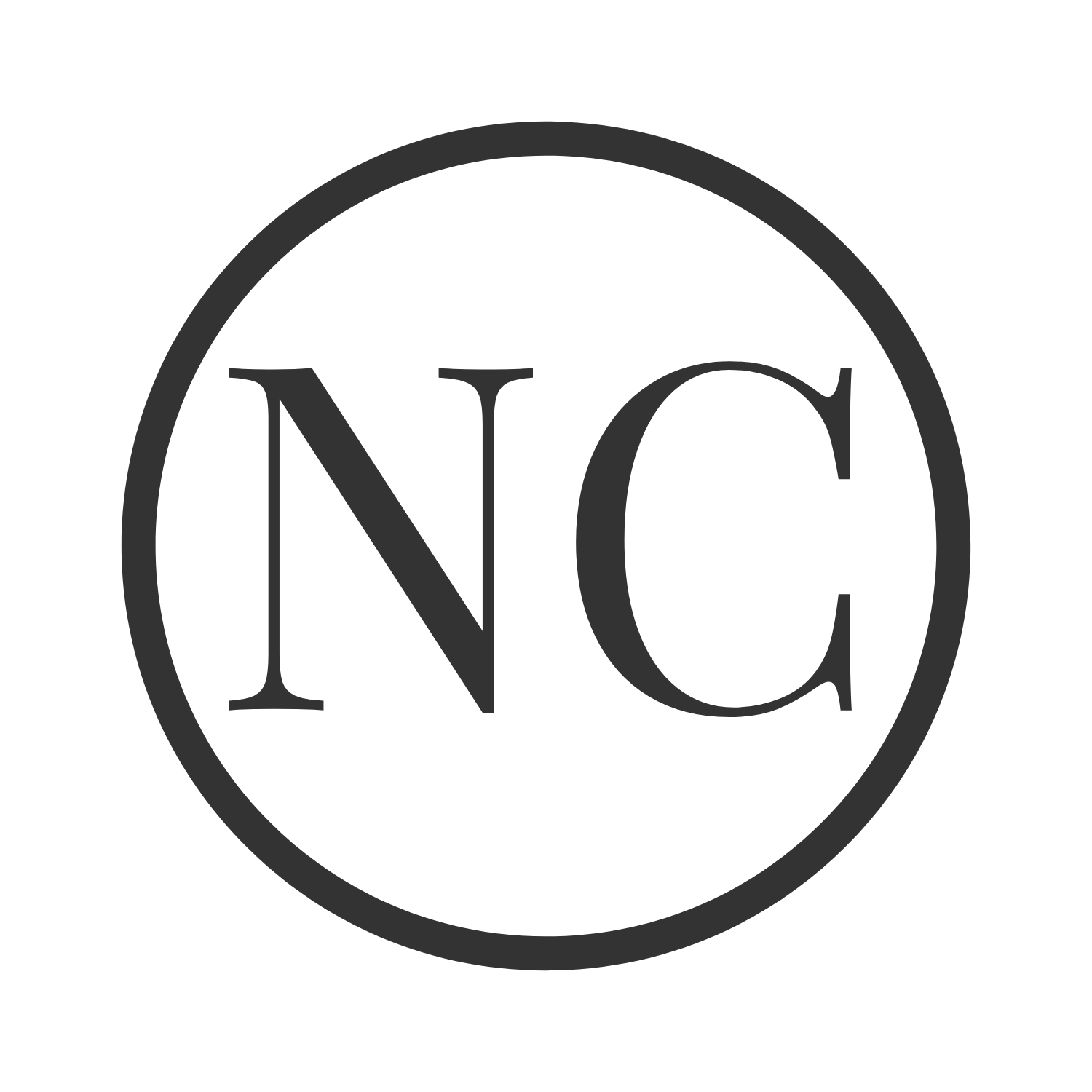 niemeyer-consulting.de favicon