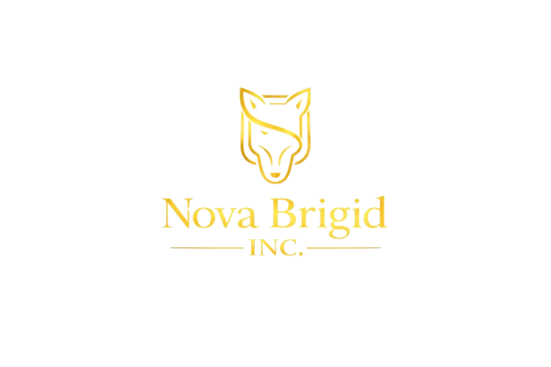 novabridgeinc.uk favicon