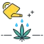 qualitybudssales.com favicon