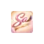 salash.dk favicon
