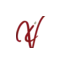 vesuvianinn.com favicon