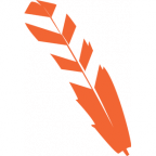 bravetoys.com favicon