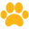 mainstayvet.com favicon