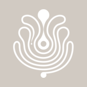 puig.com favicon