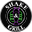 shakeandgrillhavant.com favicon