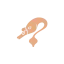 sipsmith.com favicon