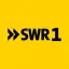 swr1.de favicon