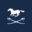 thehackingtrust.com favicon