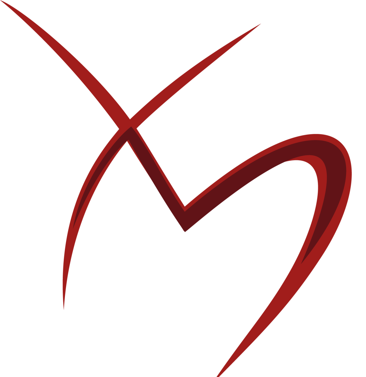 mastertools.ch favicon