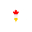 canadaessaywriting.com favicon