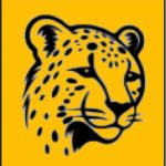 cheetahlearning.com favicon
