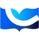 cleverst.com favicon