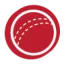 cricket-bats.com favicon