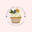 cupcakeculture.co.uk favicon