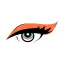 ppluto.com favicon