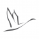 svane.com favicon