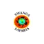 swangssafaris.co.za favicon