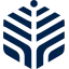 aipachira.com favicon