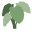 codycovefarm.com favicon