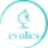 evalics.com favicon