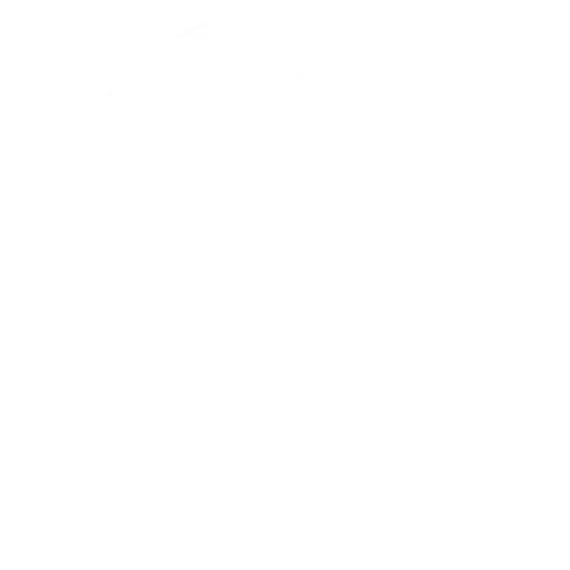 proforcegalaxies.com favicon