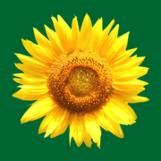sanct-bernhard.it favicon