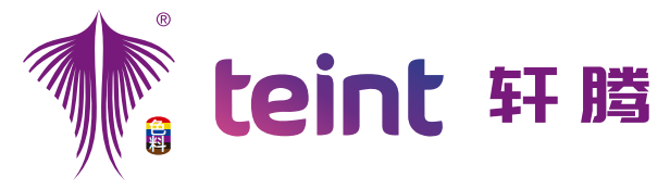 teint.cn favicon