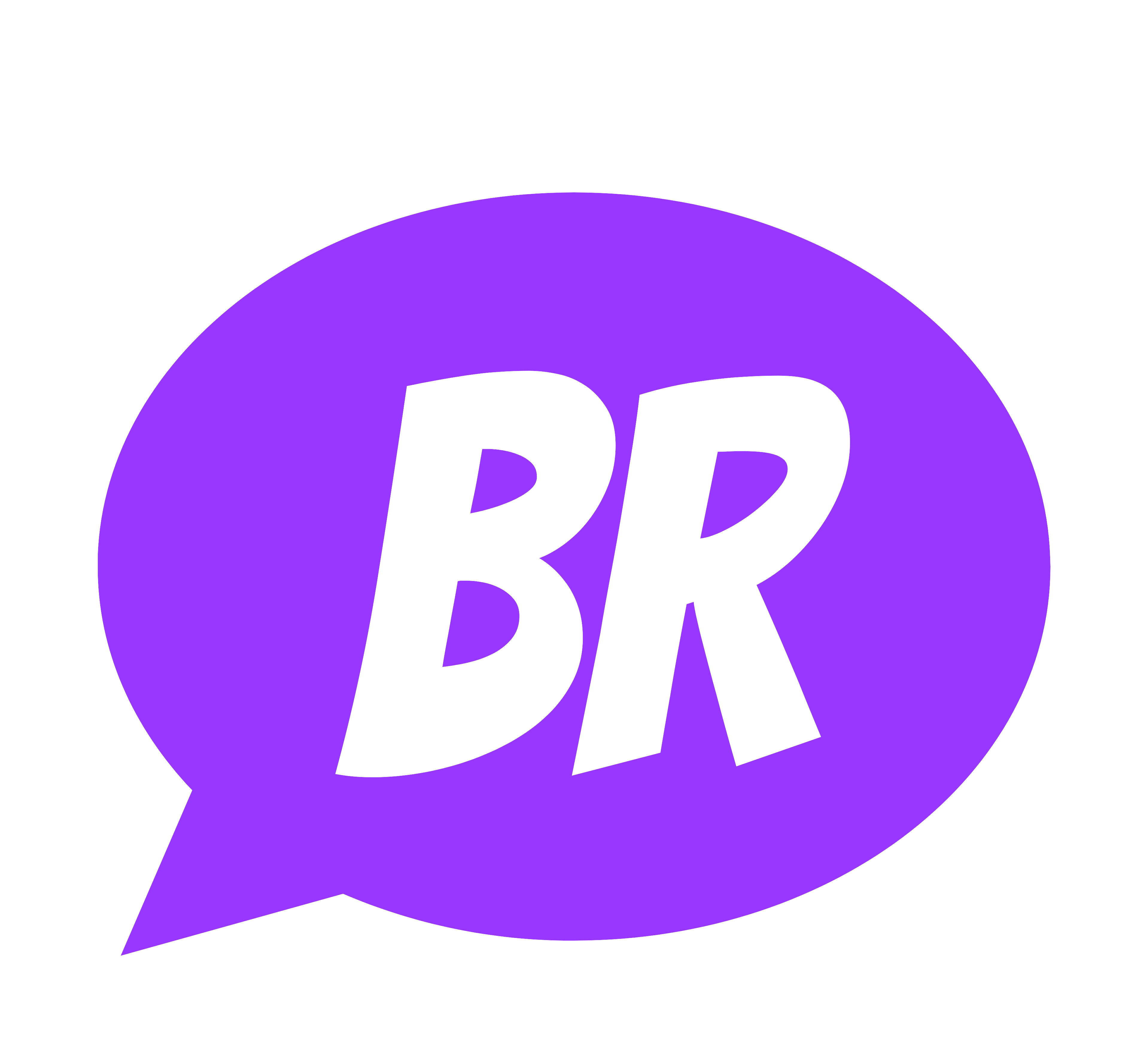 br-web.ch favicon