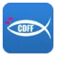 cdff.com favicon