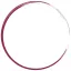 conceptwine.it favicon