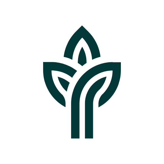 home.everspring.app favicon