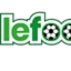 lefootenbref.com favicon
