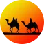 morocco-nomad-safari.com favicon