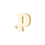 paluani.it favicon