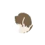 bichonshoppen.dk favicon