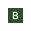 bricklane.com favicon