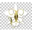 goldclinics.nl favicon