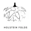 holsteinfolds.dk favicon