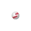 netsfere.com favicon