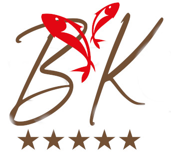 bk-vis.nl favicon