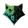 digiwolves.com favicon