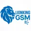 lionkinggsm.com favicon