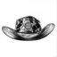 cowboyverden.shop favicon