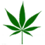 greenhealthdocs.com favicon