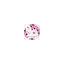 livahundesalon.dk favicon