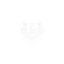 marutifastboats.com favicon